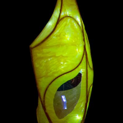 Crisálida de los cuentos de mi tata, 2017, iron, resin, found object, light